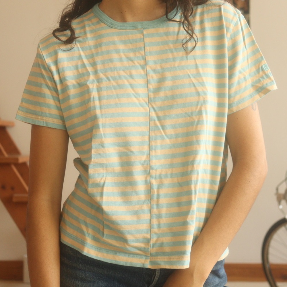 Everlane Tee Striped
